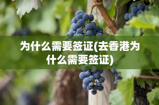 为什么需要签证(去香港为什么需要签证)