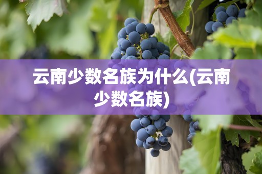 云南少数名族为什么(云南少数名族)