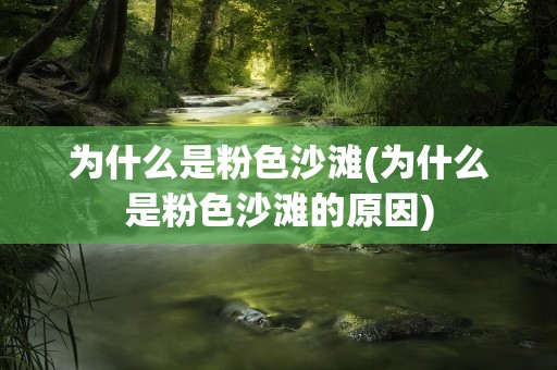 为什么是粉色沙滩(为什么是粉色沙滩的原因)
