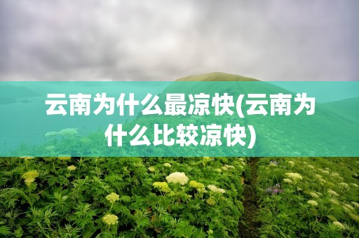 云南为什么最凉快(云南为什么比较凉快)