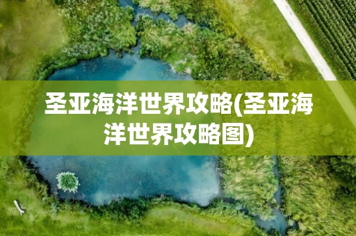 圣亚海洋世界攻略(圣亚海洋世界攻略图)