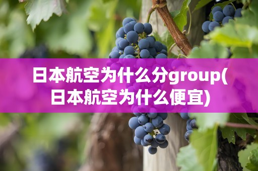 日本航空为什么分group(日本航空为什么便宜)
