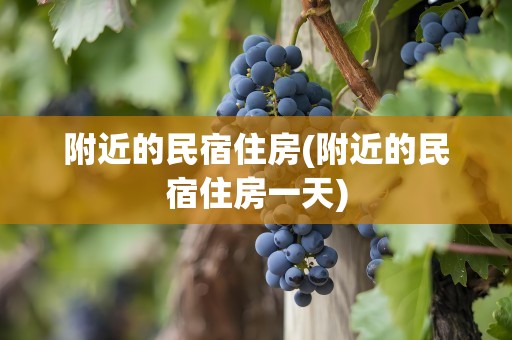 附近的民宿住房(附近的民宿住房一天)