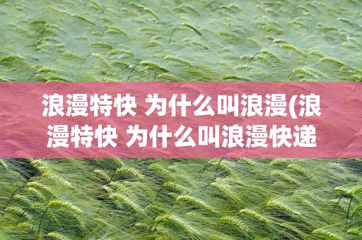 浪漫特快 为什么叫浪漫(浪漫特快 为什么叫浪漫快递)