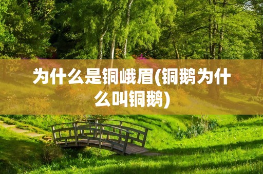 为什么是铜峨眉(铜鹅为什么叫铜鹅)