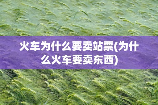 火车为什么要卖站票(为什么火车要卖东西)