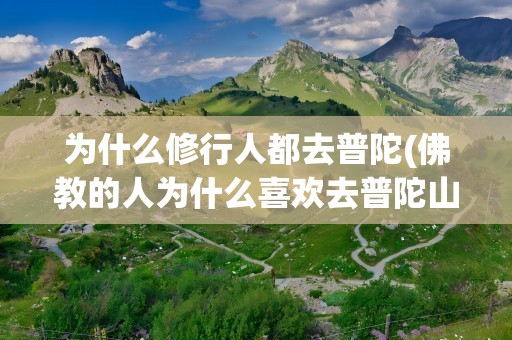 为什么修行人都去普陀(佛教的人为什么喜欢去普陀山)