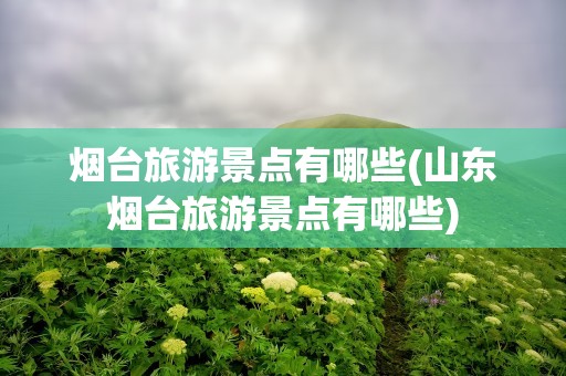 烟台旅游景点有哪些(山东烟台旅游景点有哪些)