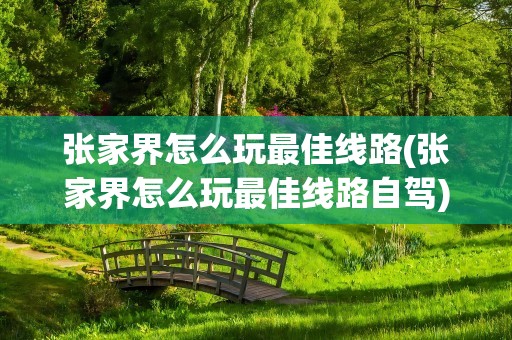张家界怎么玩最佳线路(张家界怎么玩最佳线路自驾)