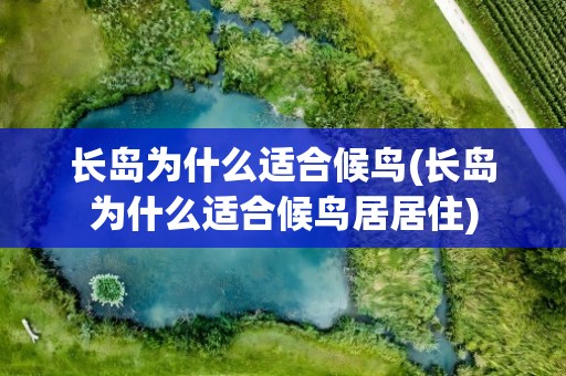 长岛为什么适合候鸟(长岛为什么适合候鸟居居住)