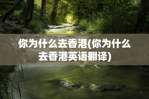 你为什么去香港(你为什么去香港英语翻译)
