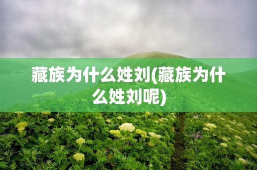 藏族为什么姓刘(藏族为什么姓刘呢)