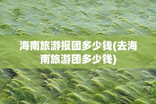 海南旅游报团多少钱(去海南旅游团多少钱)