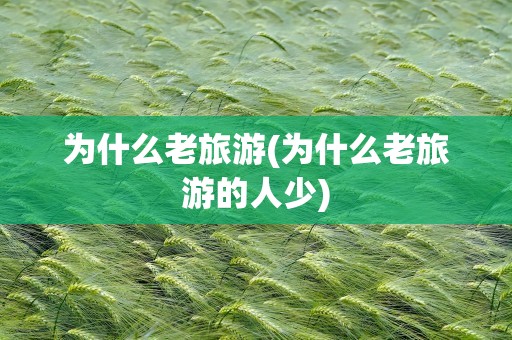 为什么老旅游(为什么老旅游的人少)