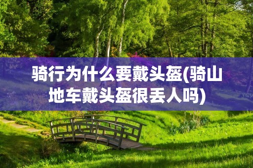 骑行为什么要戴头盔(骑山地车戴头盔很丢人吗)