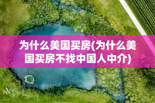 为什么美国买房(为什么美国买房不找中国人中介)