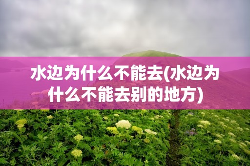 水边为什么不能去(水边为什么不能去别的地方)