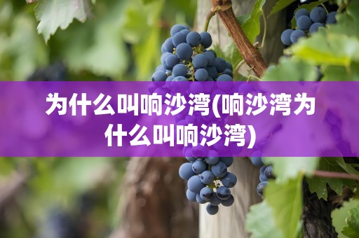 为什么叫响沙湾(响沙湾为什么叫响沙湾)