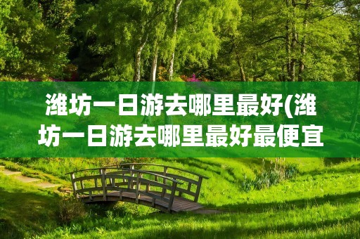 潍坊一日游去哪里最好(潍坊一日游去哪里最好最便宜)