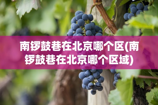 南锣鼓巷在北京哪个区(南锣鼓巷在北京哪个区域)