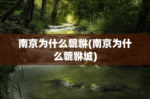 南京为什么貔貅(南京为什么貔貅城)