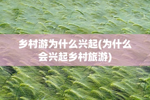 乡村游为什么兴起(为什么会兴起乡村旅游)