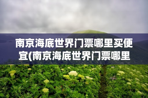 南京海底世界门票哪里买便宜(南京海底世界门票哪里买便宜点)