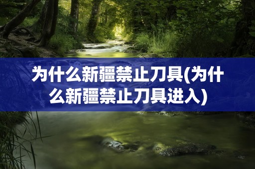 为什么新疆禁止刀具(为什么新疆禁止刀具进入)