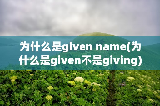 为什么是given name(为什么是given不是giving)
