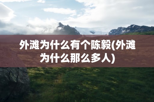 外滩为什么有个陈毅(外滩为什么那么多人)