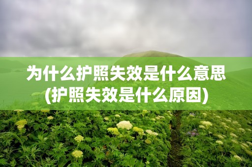为什么护照失效是什么意思(护照失效是什么原因)