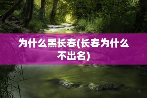为什么黑长春(长春为什么不出名)