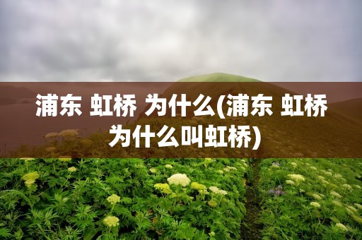 浦东 虹桥 为什么(浦东 虹桥 为什么叫虹桥)