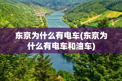 东京为什么有电车(东京为什么有电车和油车)