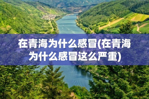在青海为什么感冒(在青海为什么感冒这么严重)