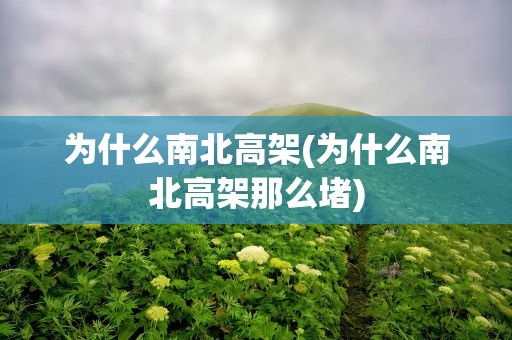 为什么南北高架(为什么南北高架那么堵)