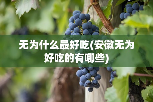 无为什么最好吃(安徽无为好吃的有哪些)