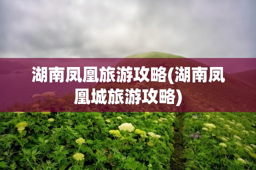 湖南凤凰旅游攻略(湖南凤凰城旅游攻略)