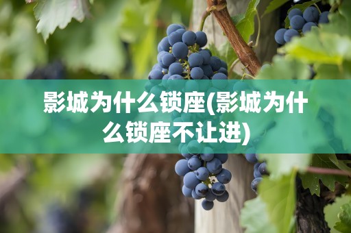 影城为什么锁座(影城为什么锁座不让进)