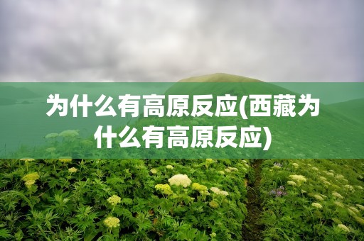 为什么有高原反应(西藏为什么有高原反应)