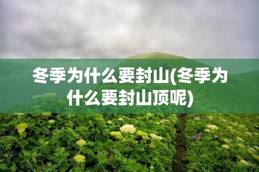 冬季为什么要封山(冬季为什么要封山顶呢)