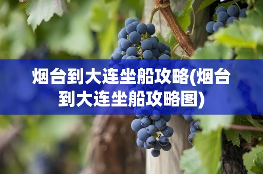 烟台到大连坐船攻略(烟台到大连坐船攻略图)