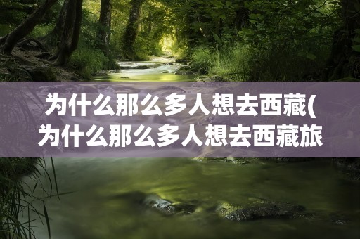 为什么那么多人想去西藏(为什么那么多人想去西藏旅游)