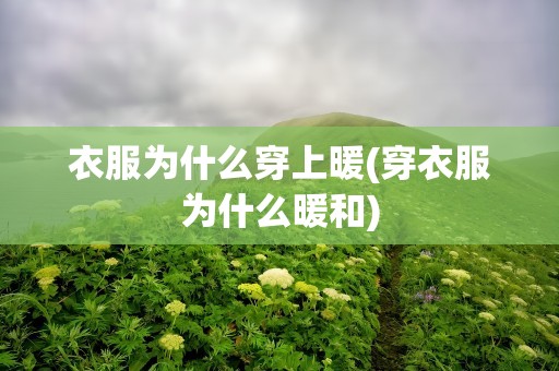 衣服为什么穿上暖(穿衣服为什么暖和)