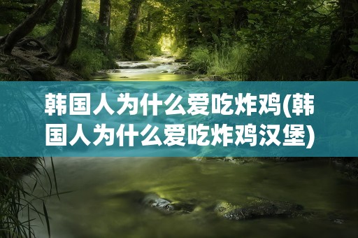 韩国人为什么爱吃炸鸡(韩国人为什么爱吃炸鸡汉堡)