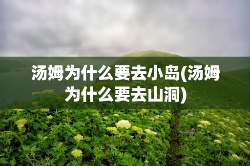 汤姆为什么要去小岛(汤姆为什么要去山洞)
