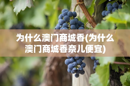 为什么澳门商城香(为什么澳门商城香奈儿便宜)