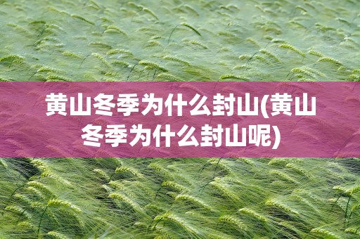 黄山冬季为什么封山(黄山冬季为什么封山呢)