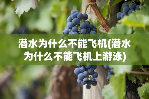 潜水为什么不能飞机(潜水为什么不能飞机上游泳)