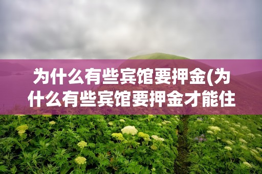 为什么有些宾馆要押金(为什么有些宾馆要押金才能住)